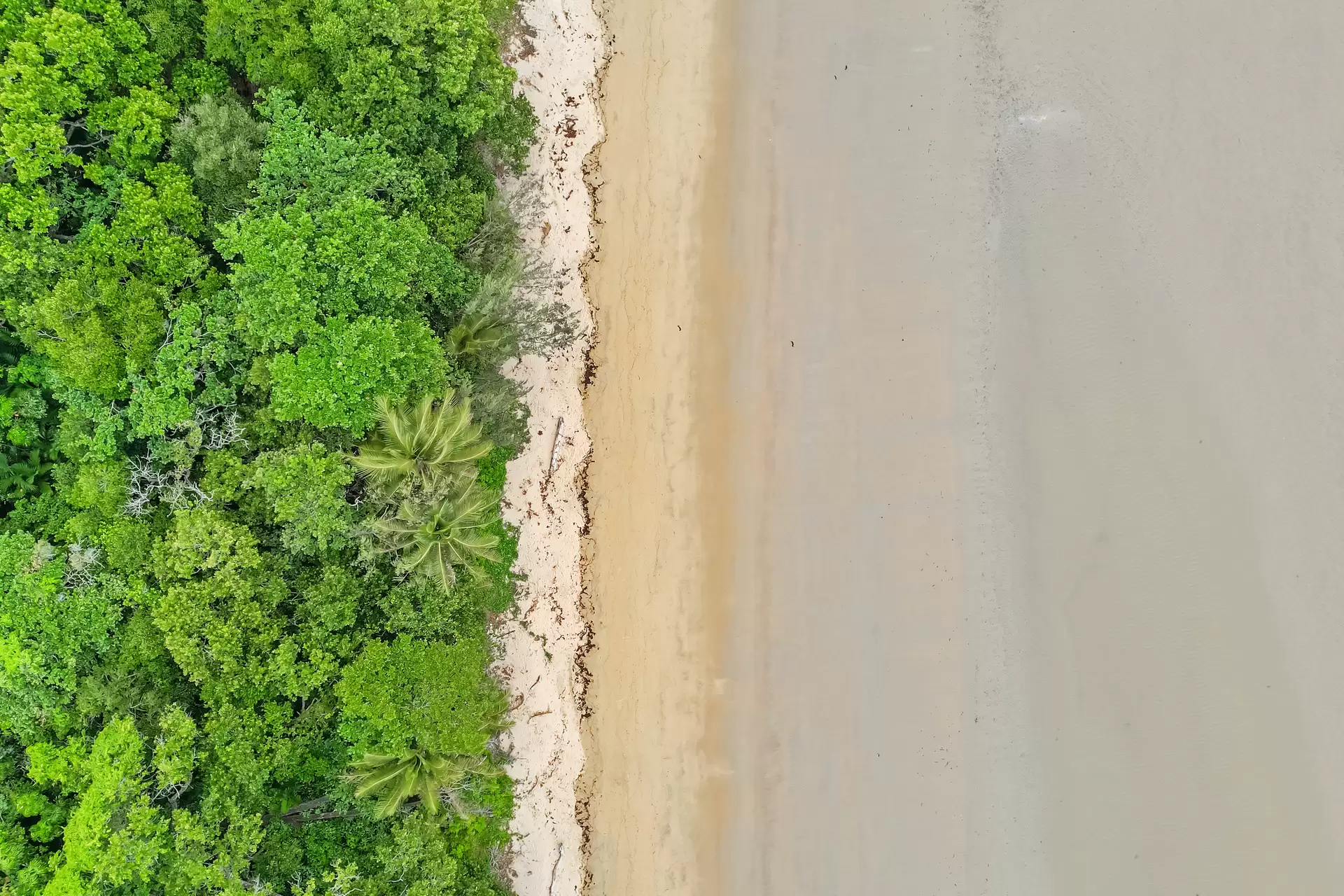 2 Sylvia Close, Wonga Beach Sold by Queensland Sotheby's International Realty - image 1