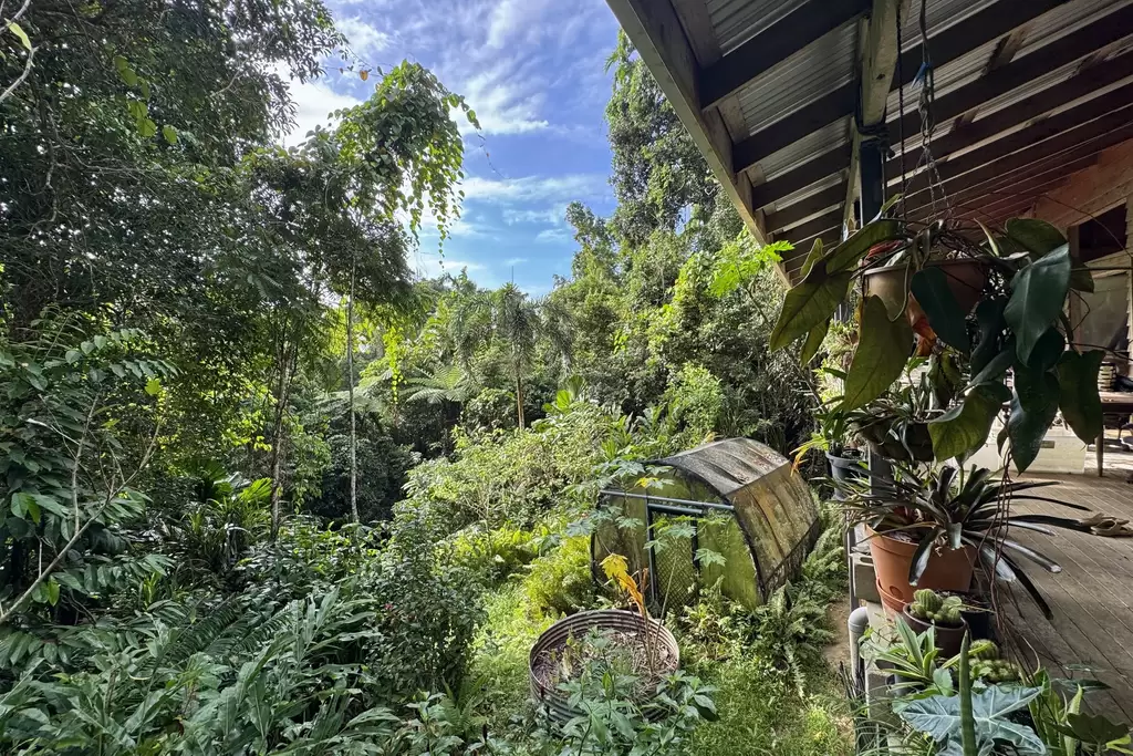 34 Candlenut Road, Diwan Sold by Queensland Sotheby's International Realty