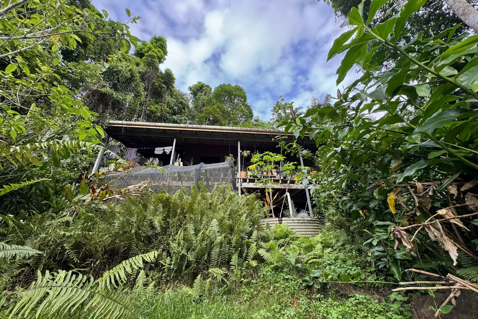34 Candlenut Road, Diwan Sold by  - image 1
