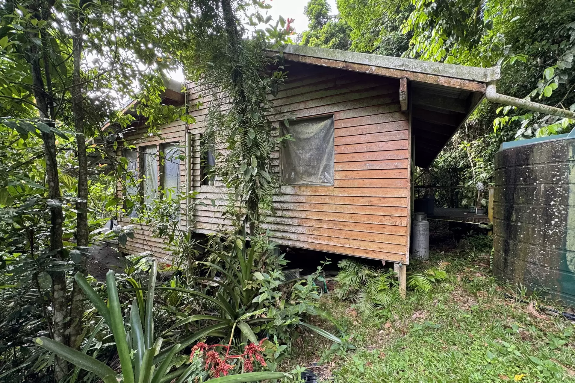 34 Candlenut Road, Diwan Sold by  - image 1