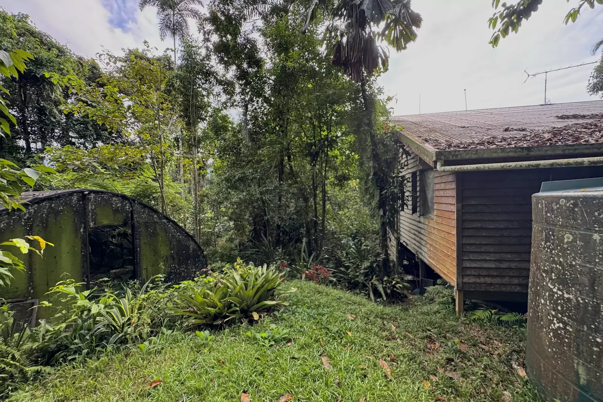 34 Candlenut Road, Diwan Sold by Queensland Sotheby's International Realty - image 1