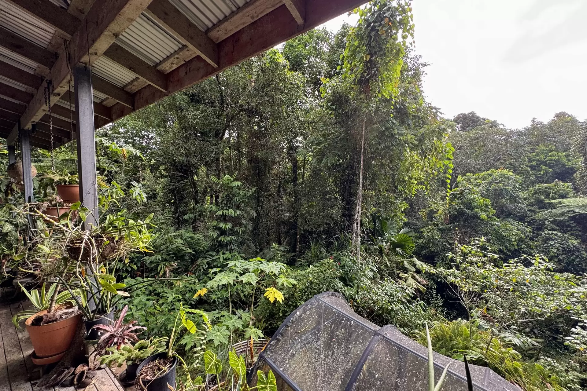 34 Candlenut Road, Diwan Sold by  - image 1