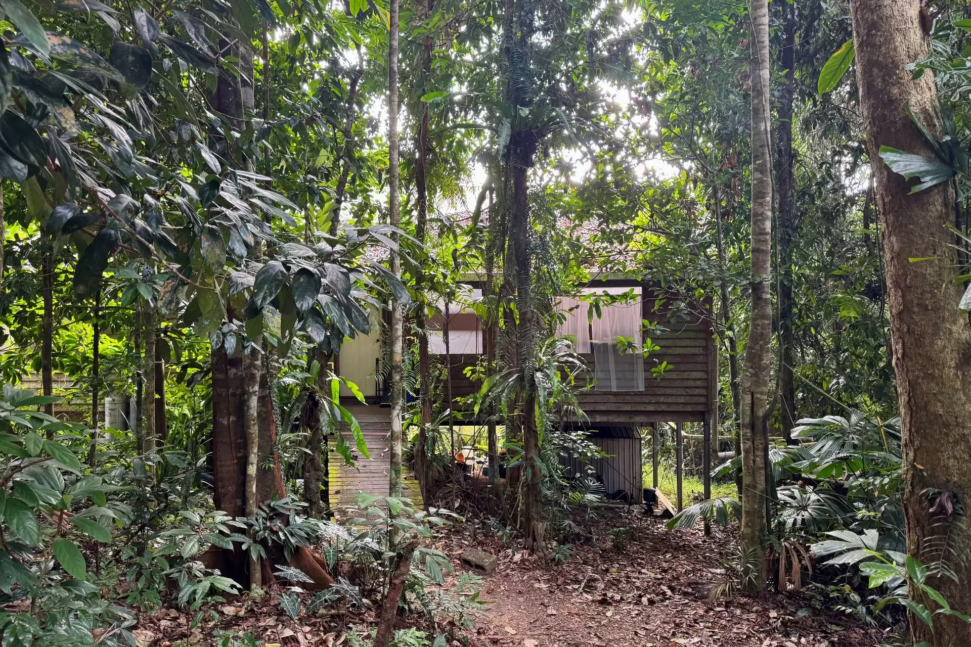 34 Candlenut Road, Diwan Sold by Queensland Sotheby's International Realty - image 1