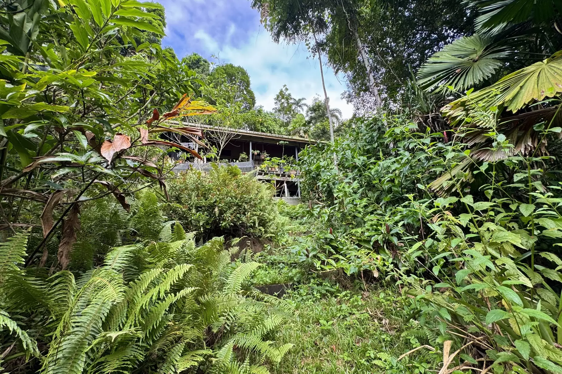 34 Candlenut Road, Diwan Sold by Queensland Sotheby's International Realty - image 1