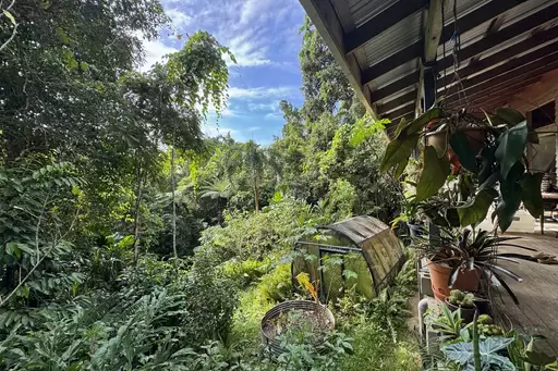 34 Candlenut Road, Diwan Sold by Queensland Sotheby's International Realty