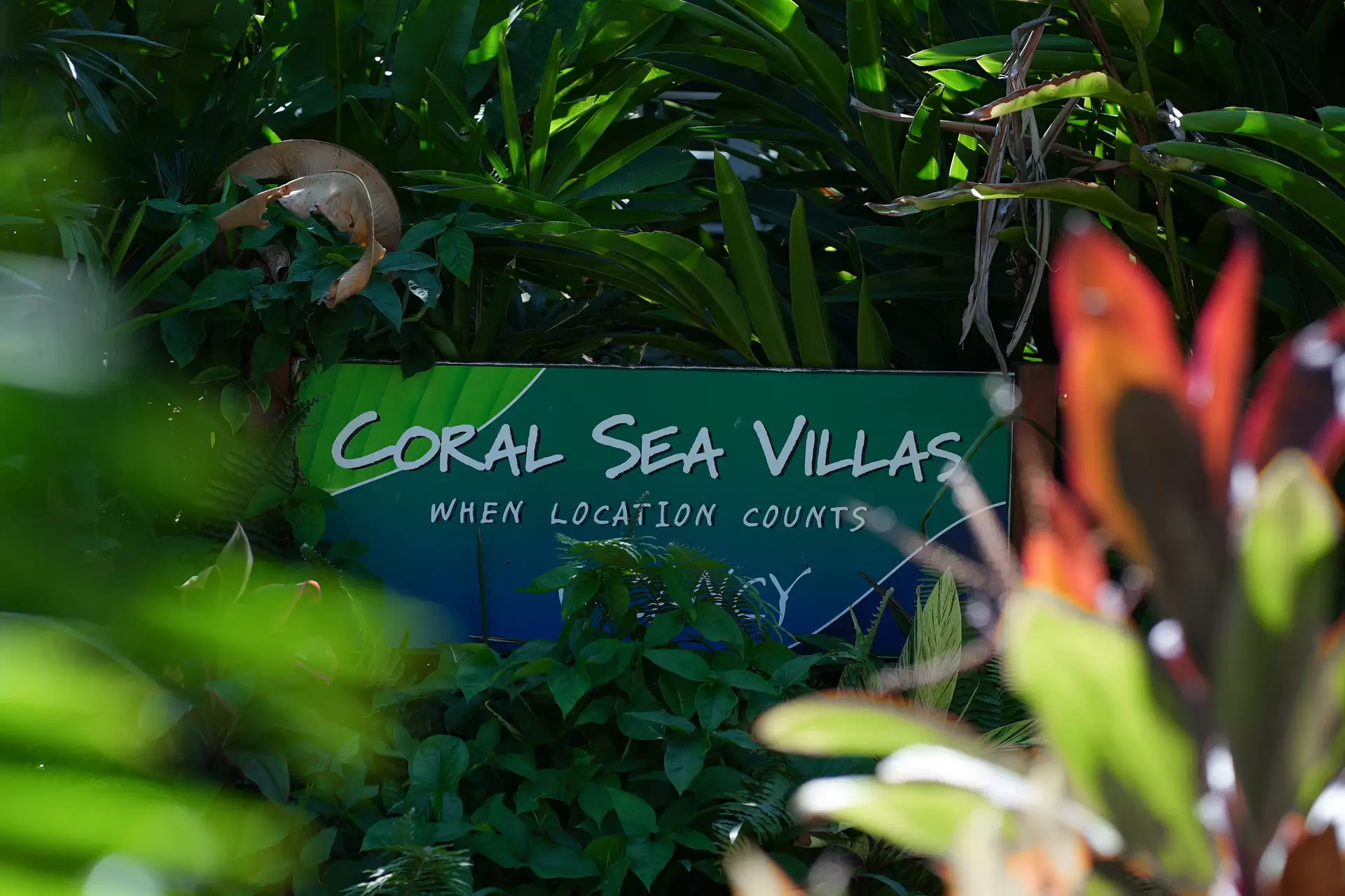 8/68 Macrossan Street, Port Douglas Sold by Queensland Sotheby's International Realty - image 1