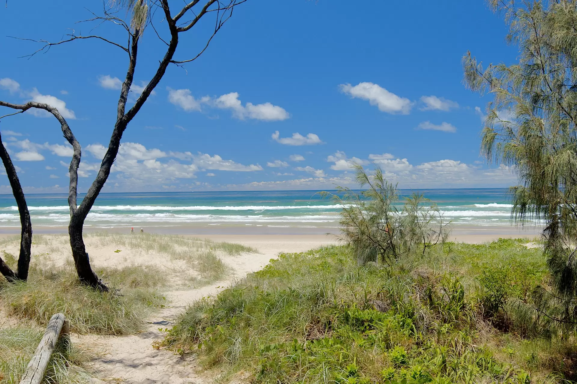 6 Venice Street, Peregian Beach Sold by Queensland Sotheby's International Realty - image 1
