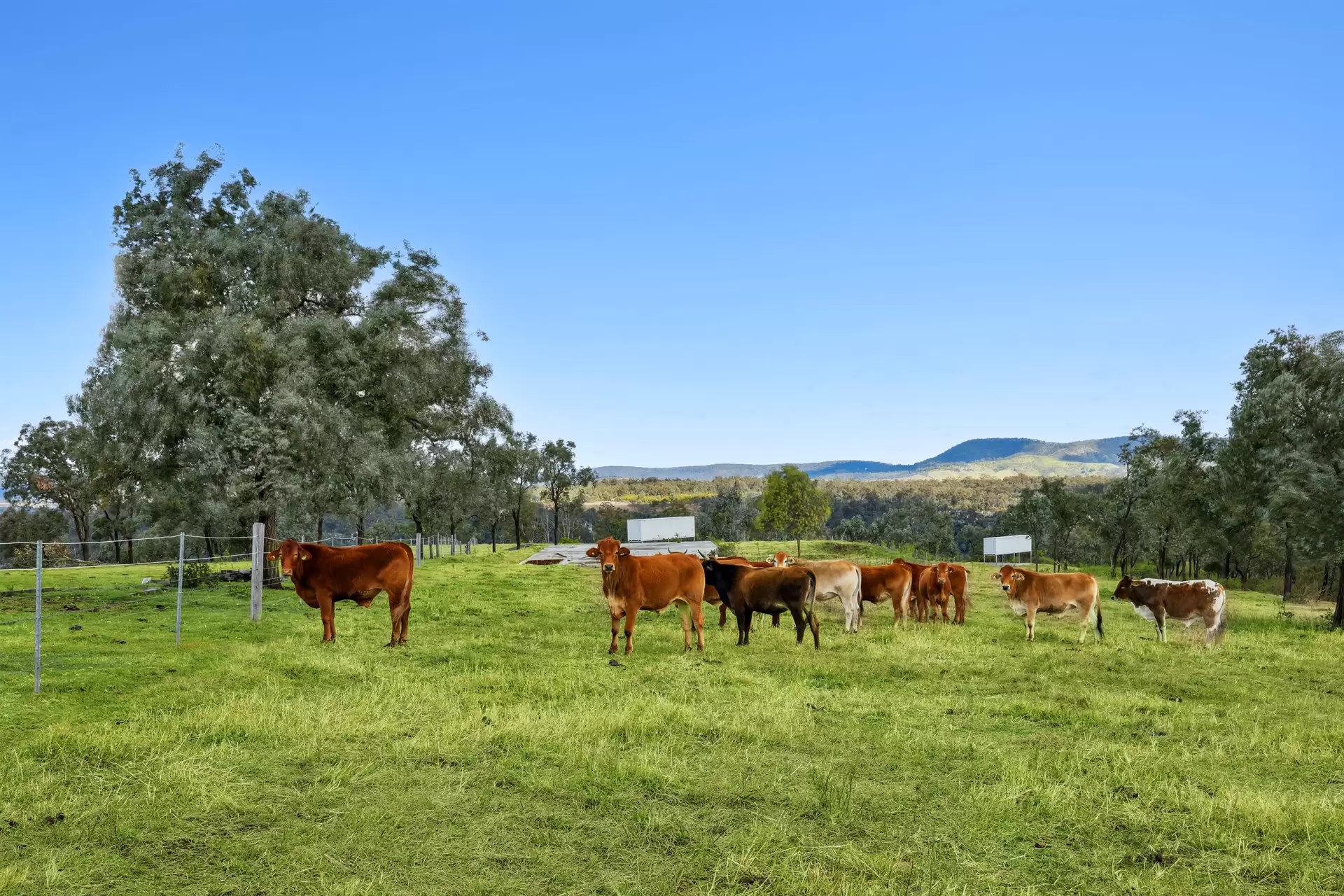 1230 East Egypt  Road, Fordsdale For Sale by Queensland Sotheby's International Realty - image 1