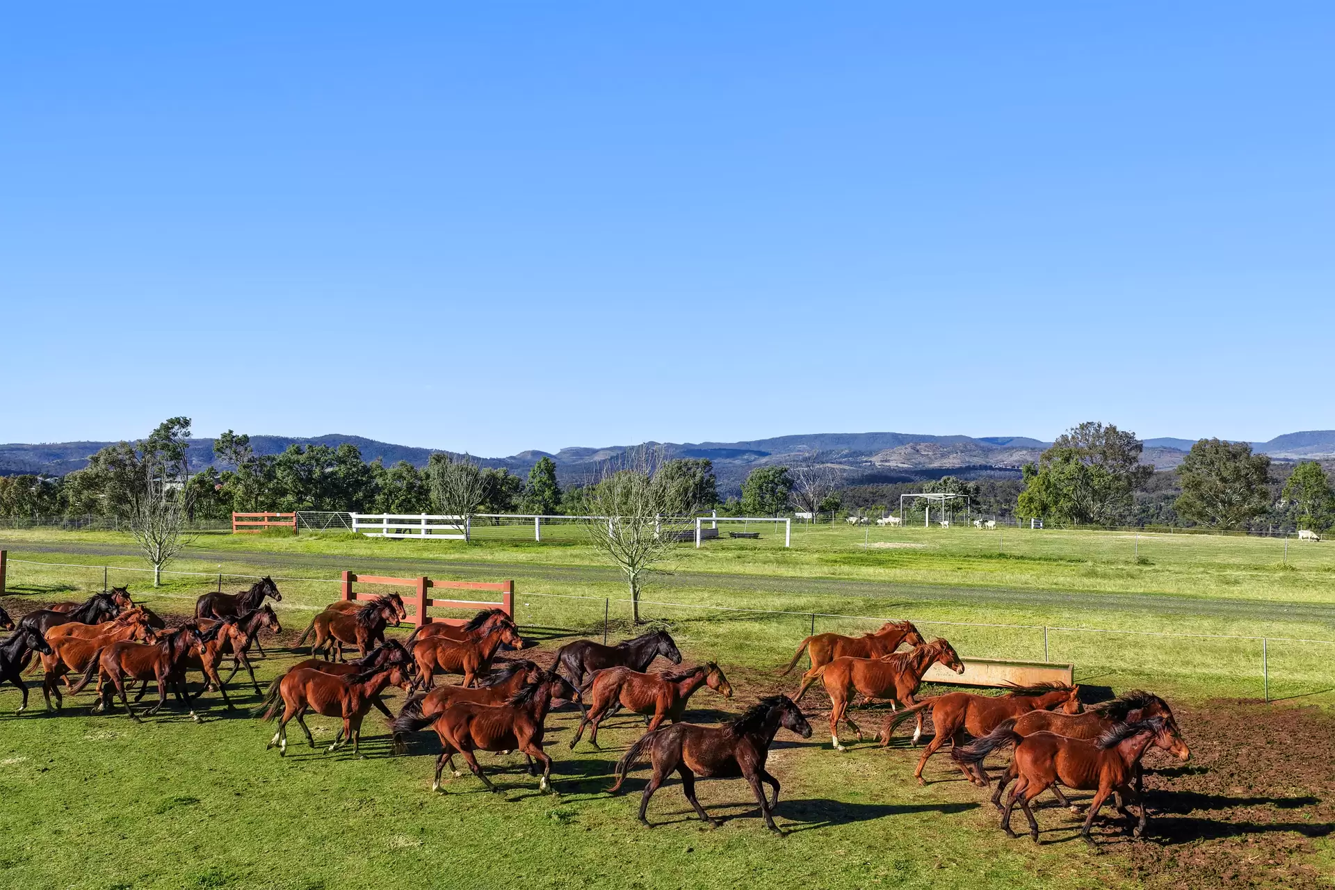 1230 East Egypt Road, Fordsdale For Sale by Queensland Sotheby's International Realty - image 1