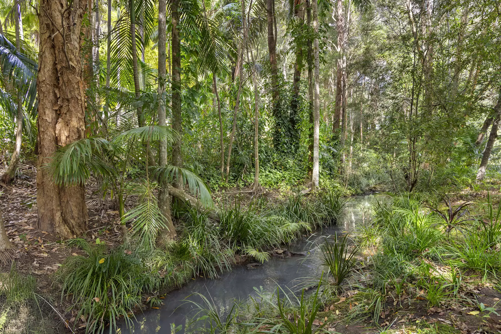 116 Wappa Falls Road, Yandina Sold by Queensland Sotheby's International Realty - image 1