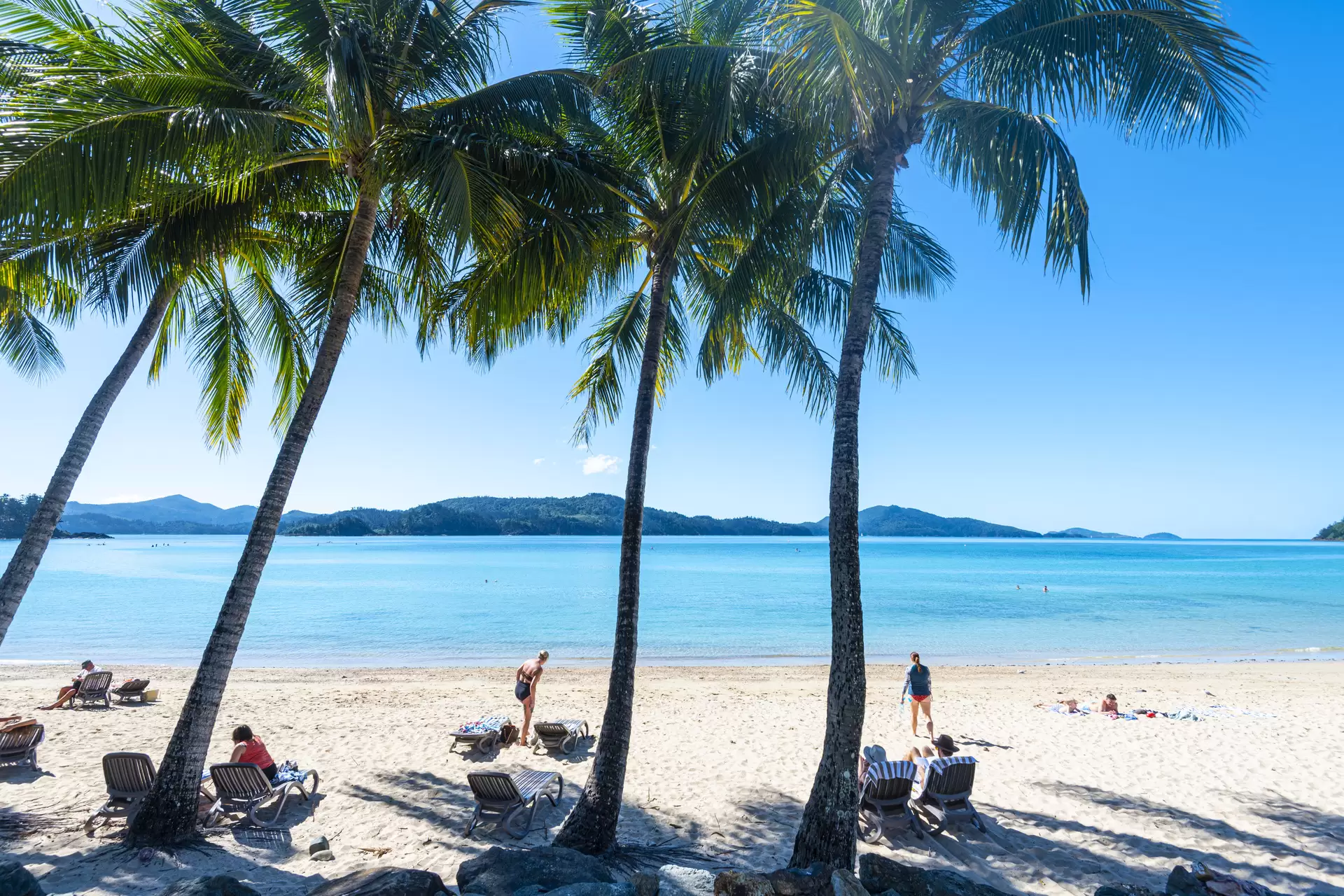 Hibiscus Lodge 201, 16 Resort Drive, Hamilton Island Sold by Queensland Sotheby's International Realty - image 1