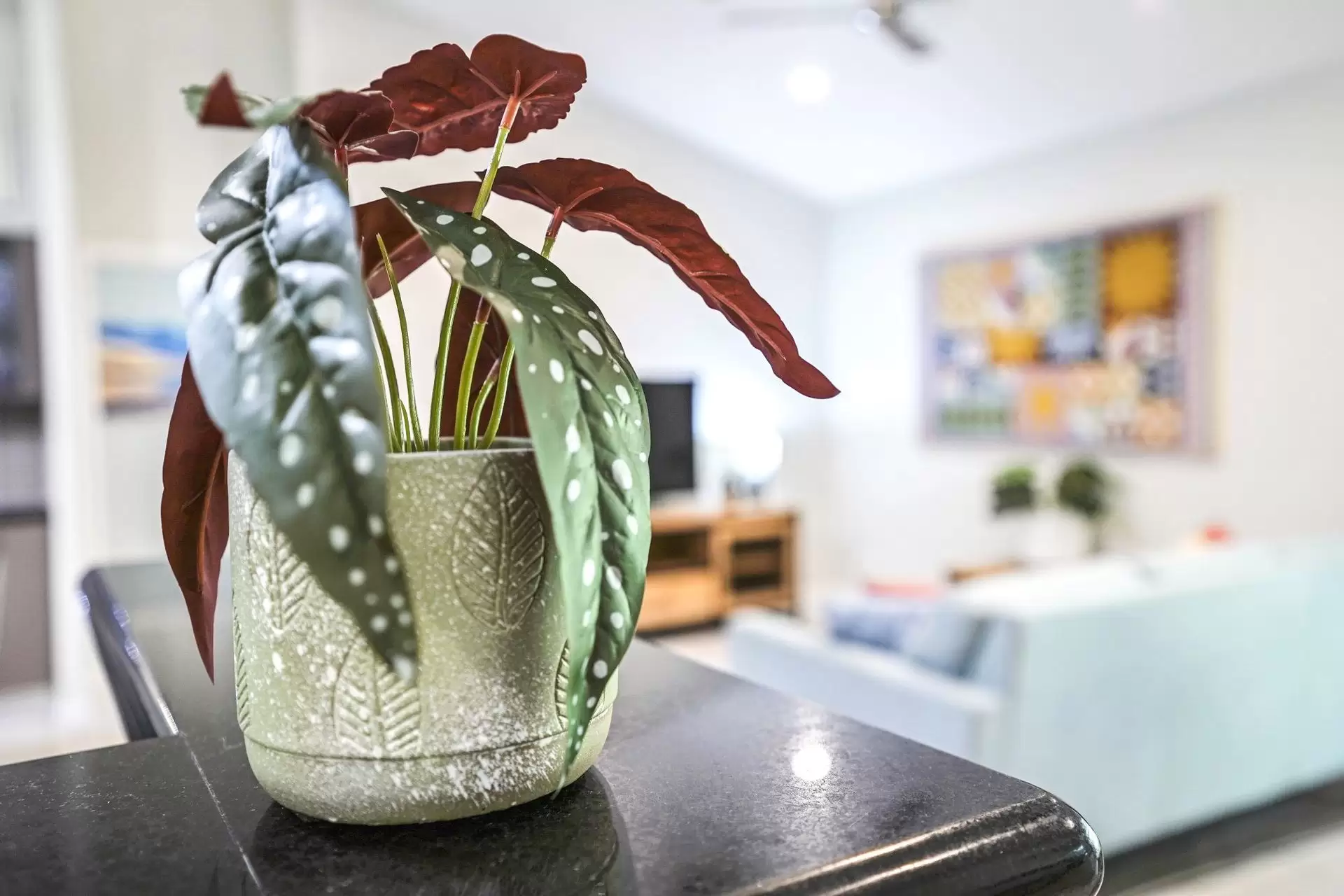 7 Marlin Drive, Wonga Beach Sold by Queensland Sotheby's International Realty - image 1