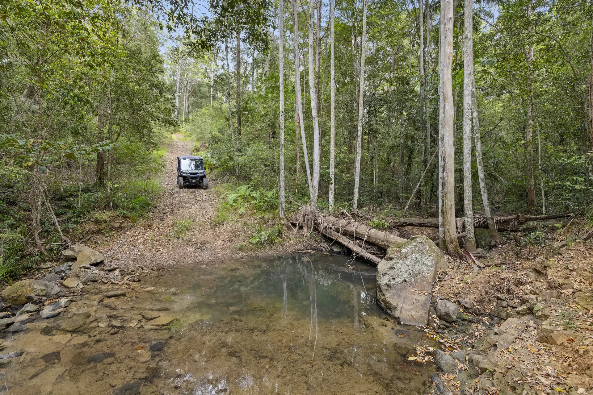 2124 Maleny-Stanley River  Road, Booroobin For Sale by Queensland Sotheby's International Realty - image 1
