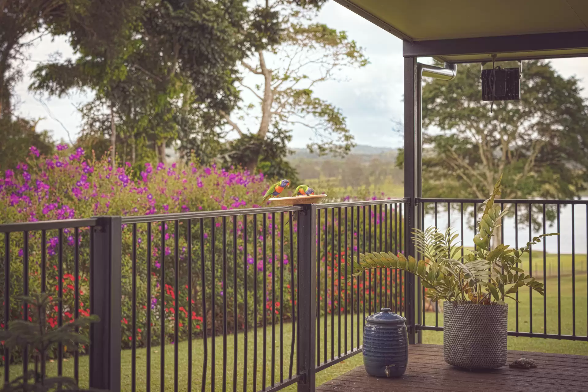 8 Andrews Road, Barrine Sold by Queensland Sotheby's International Realty - image 1