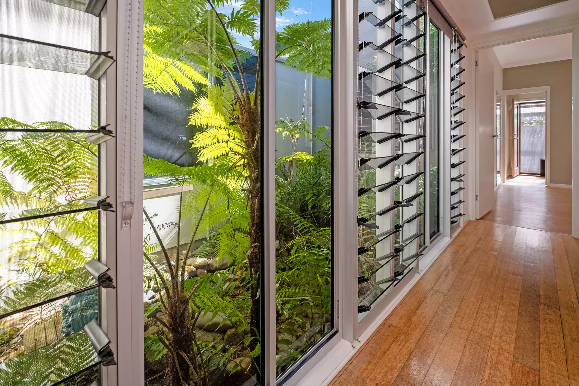 42 Cupania Street, Mudjimba Sold by Queensland Sotheby's International Realty - image 1