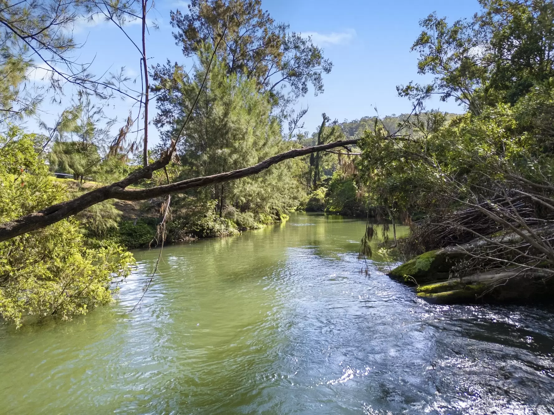 48  Double Crossing Road, Canungra Sold by Queensland Sotheby's International Realty - image 1