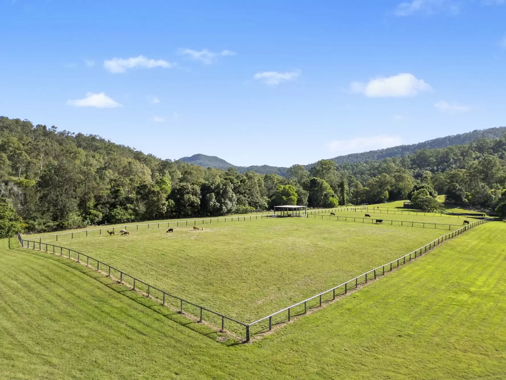 48  Double Crossing Road, Canungra Sold by Queensland Sotheby's International Realty - image 1