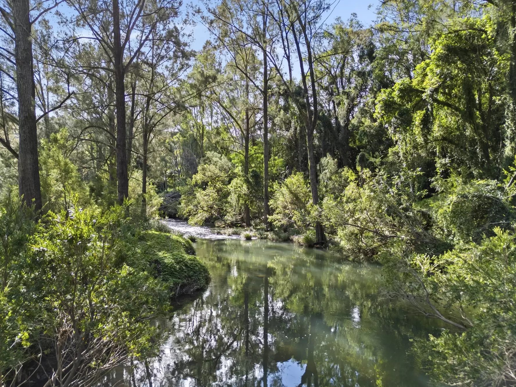 48  Double Crossing Road, Canungra Sold by Queensland Sotheby's International Realty - image 1