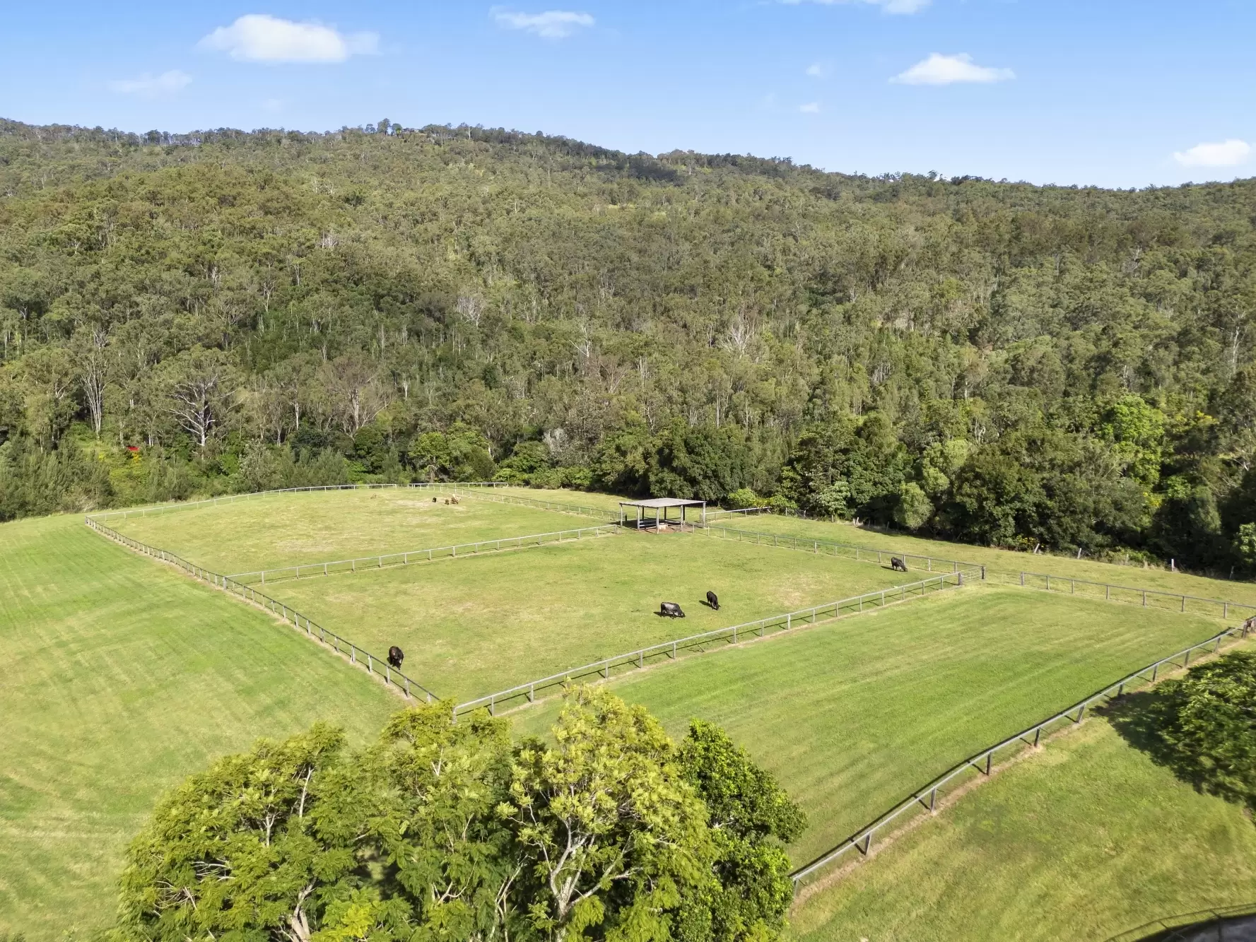 48  Double Crossing Road, Canungra Sold by Queensland Sotheby's International Realty - image 1