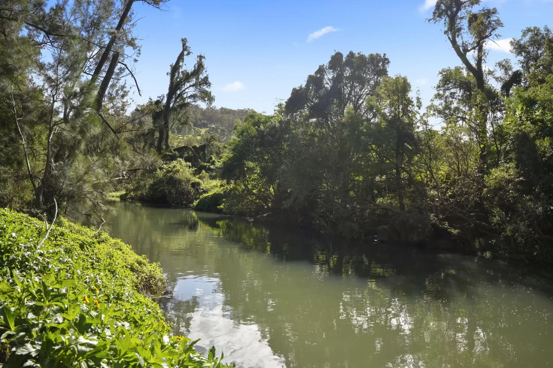 48  Double Crossing Road, Canungra Sold by Queensland Sotheby's International Realty - image 1