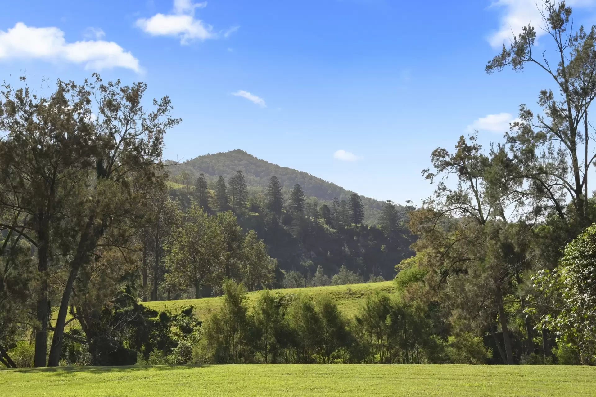 48  Double Crossing Road, Canungra Sold by Queensland Sotheby's International Realty - image 1