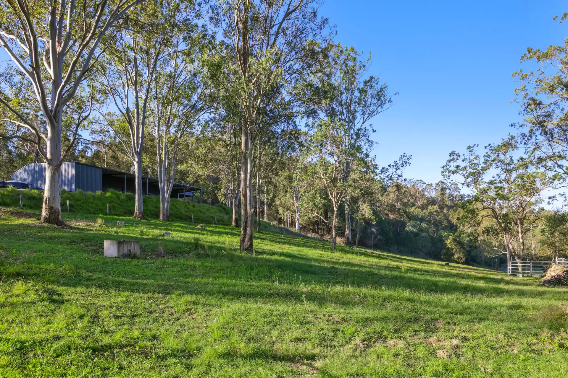 66 Double Crossing Road, Canungra For Sale by Queensland Sotheby's International Realty - image 1