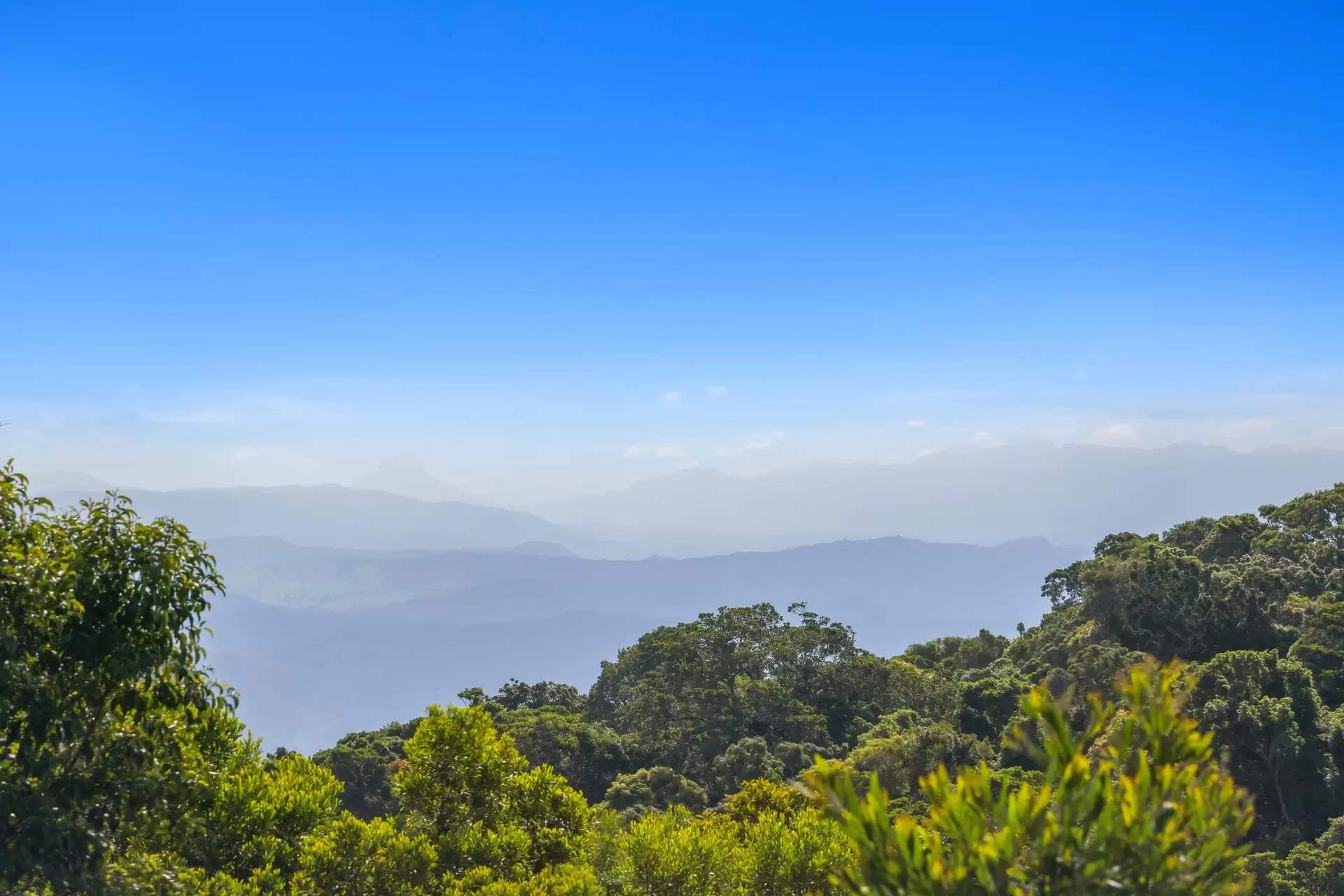3/3544 Lamington National Park Road, O'Reilly Sold by  - image 1
