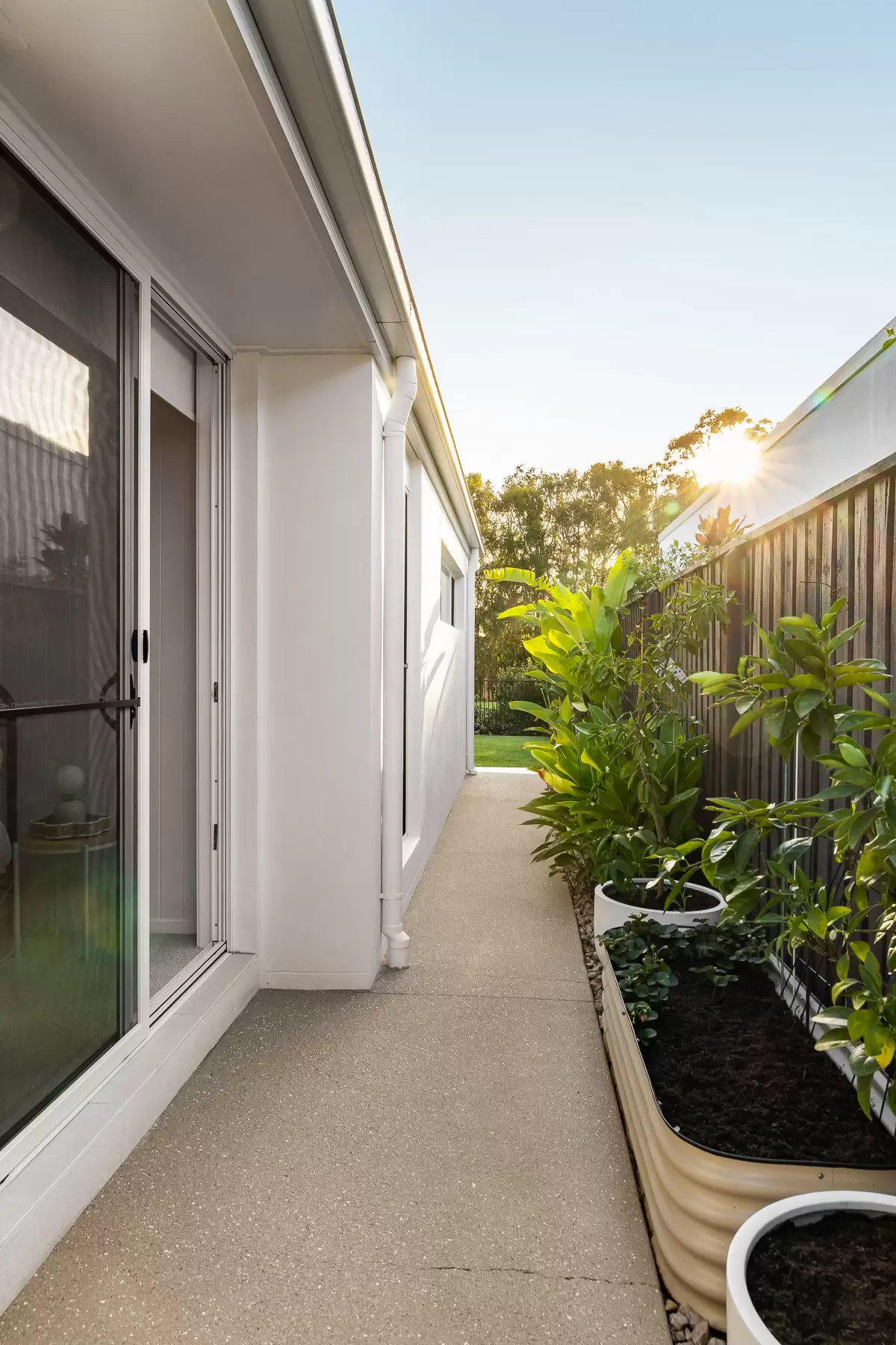 136 Balgownie Drive, Peregian Springs Sold by Queensland Sotheby's International Realty - image 1