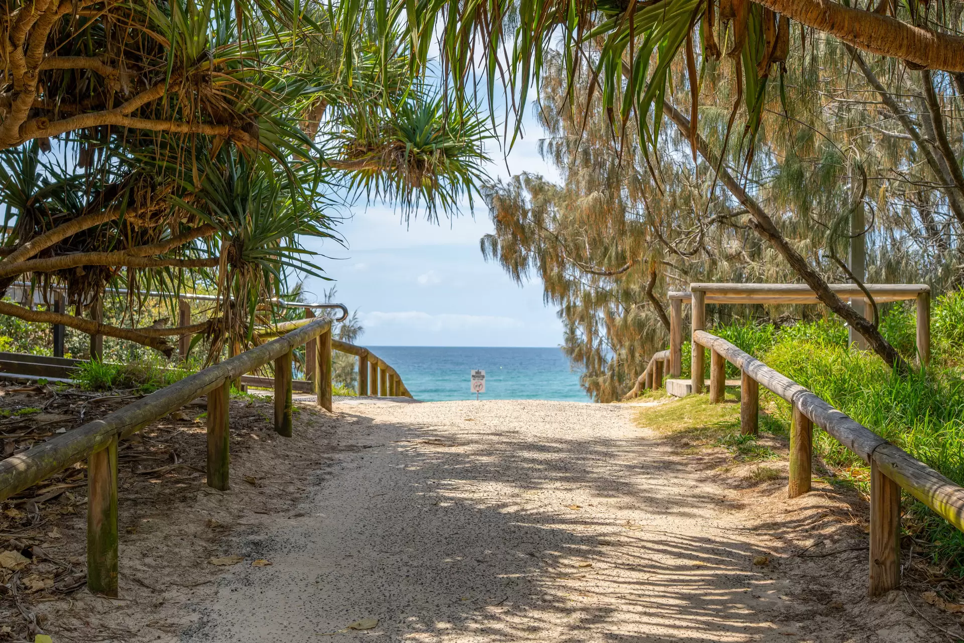 136 Balgownie Drive, Peregian Springs Sold by Queensland Sotheby's International Realty - image 1