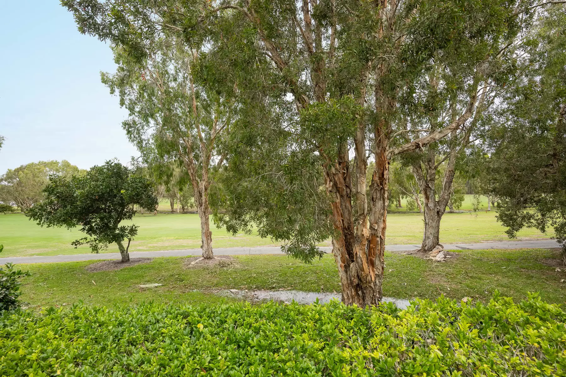 67/114 Peregian Springs Drive, Peregian Springs Sold by Queensland Sotheby's International Realty - image 1