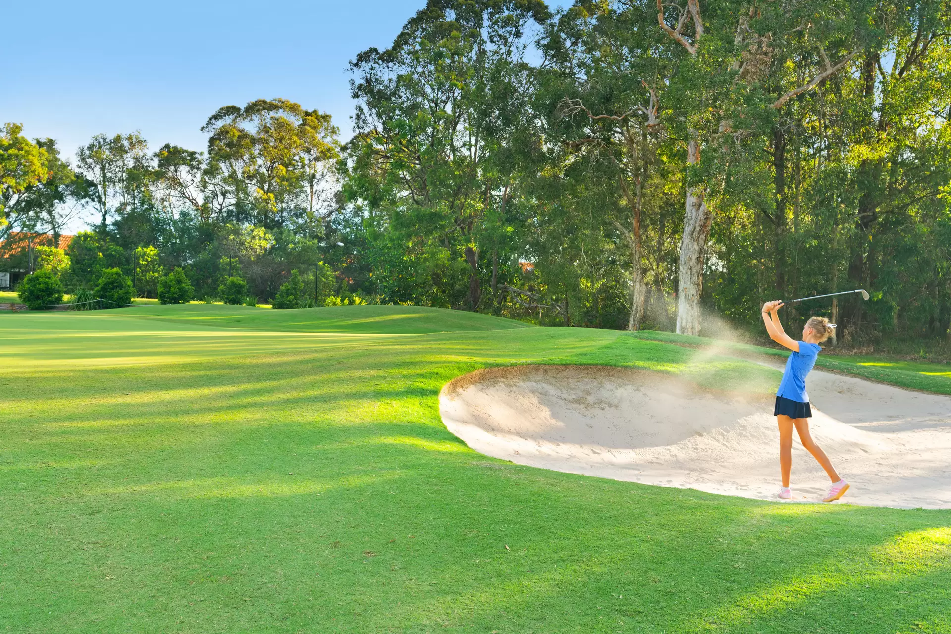 20 Oakmont Court, Peregian Springs Sold by Queensland Sotheby's International Realty - image 1