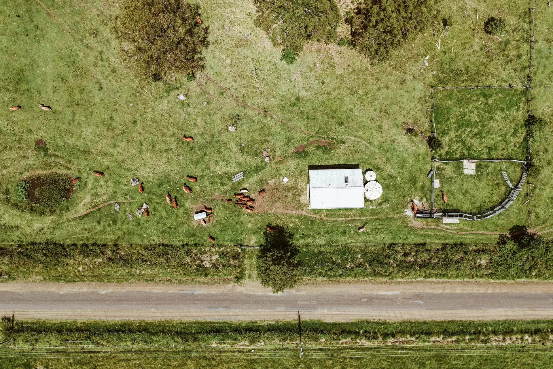 248 Illinbah  Road, Illinbah For Sale by Queensland Sotheby's International Realty - image 1