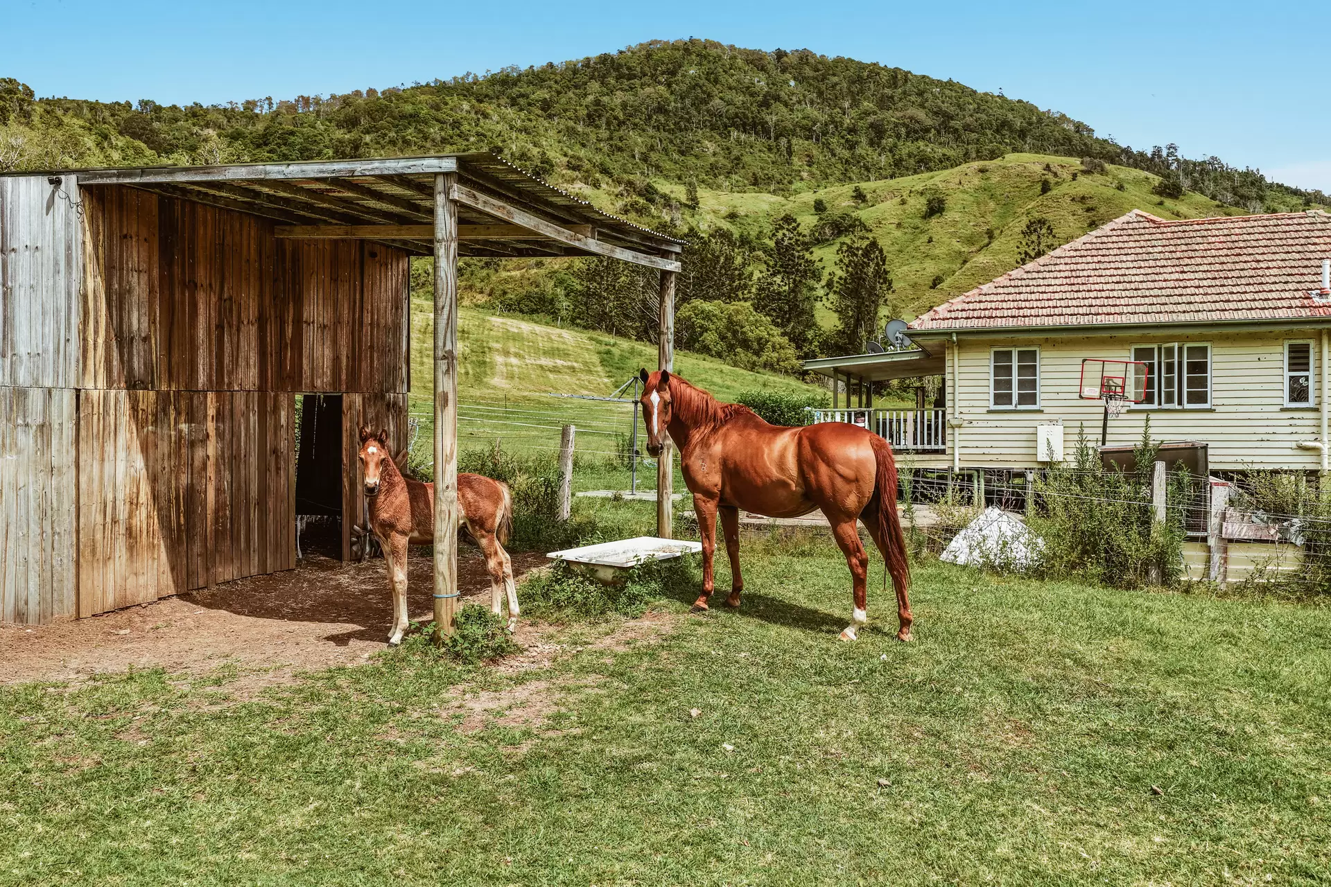 248 Illinbah  Road, Illinbah For Sale by Queensland Sotheby's International Realty - image 1