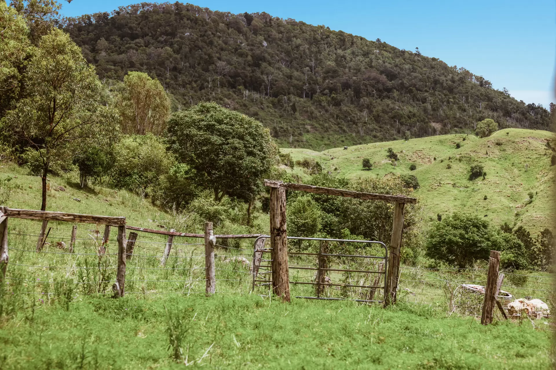 248 Illinbah  Road, Illinbah For Sale by Queensland Sotheby's International Realty - image 1
