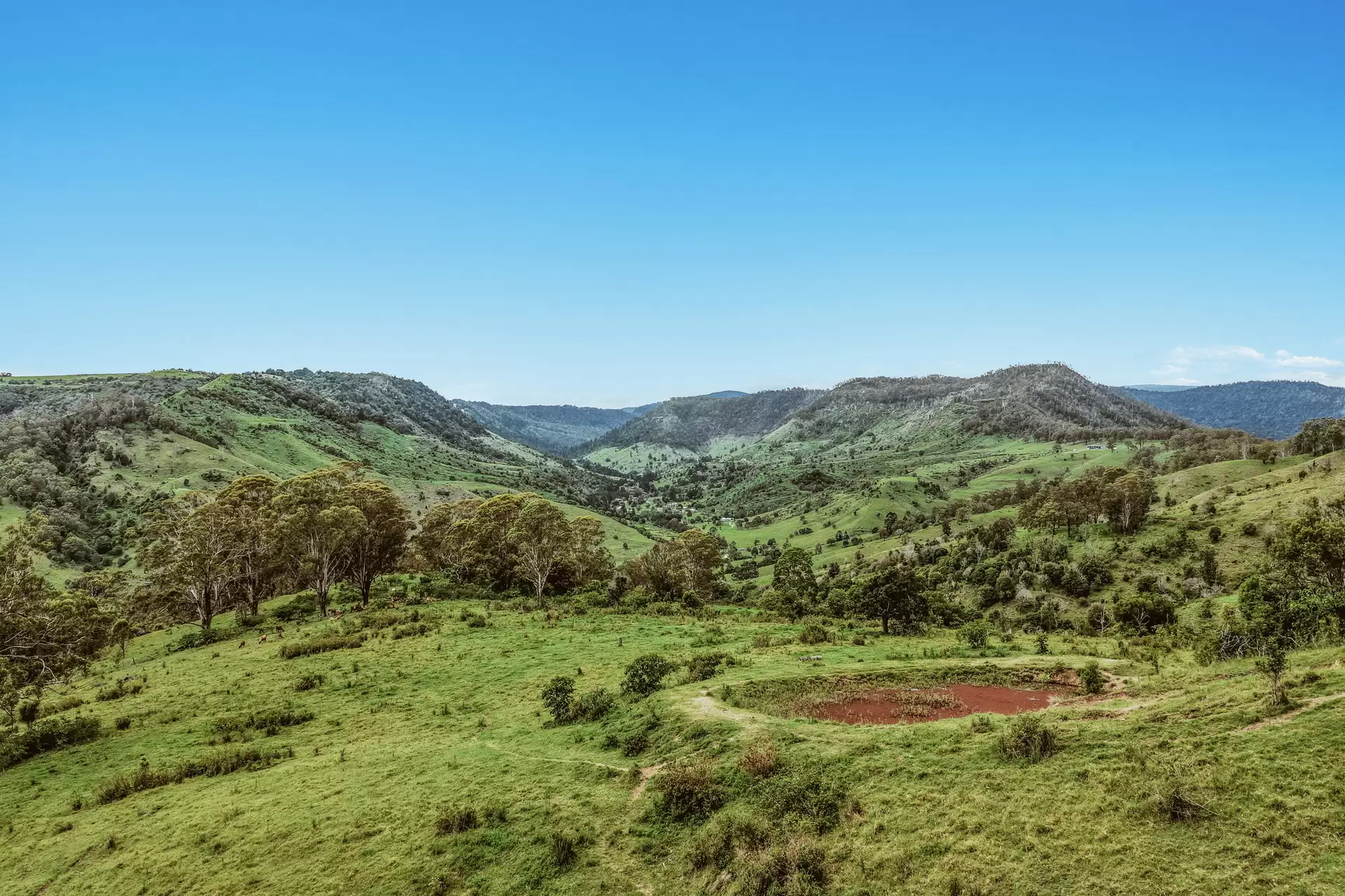 248 Illinbah  Road, Illinbah For Sale by Queensland Sotheby's International Realty - image 1