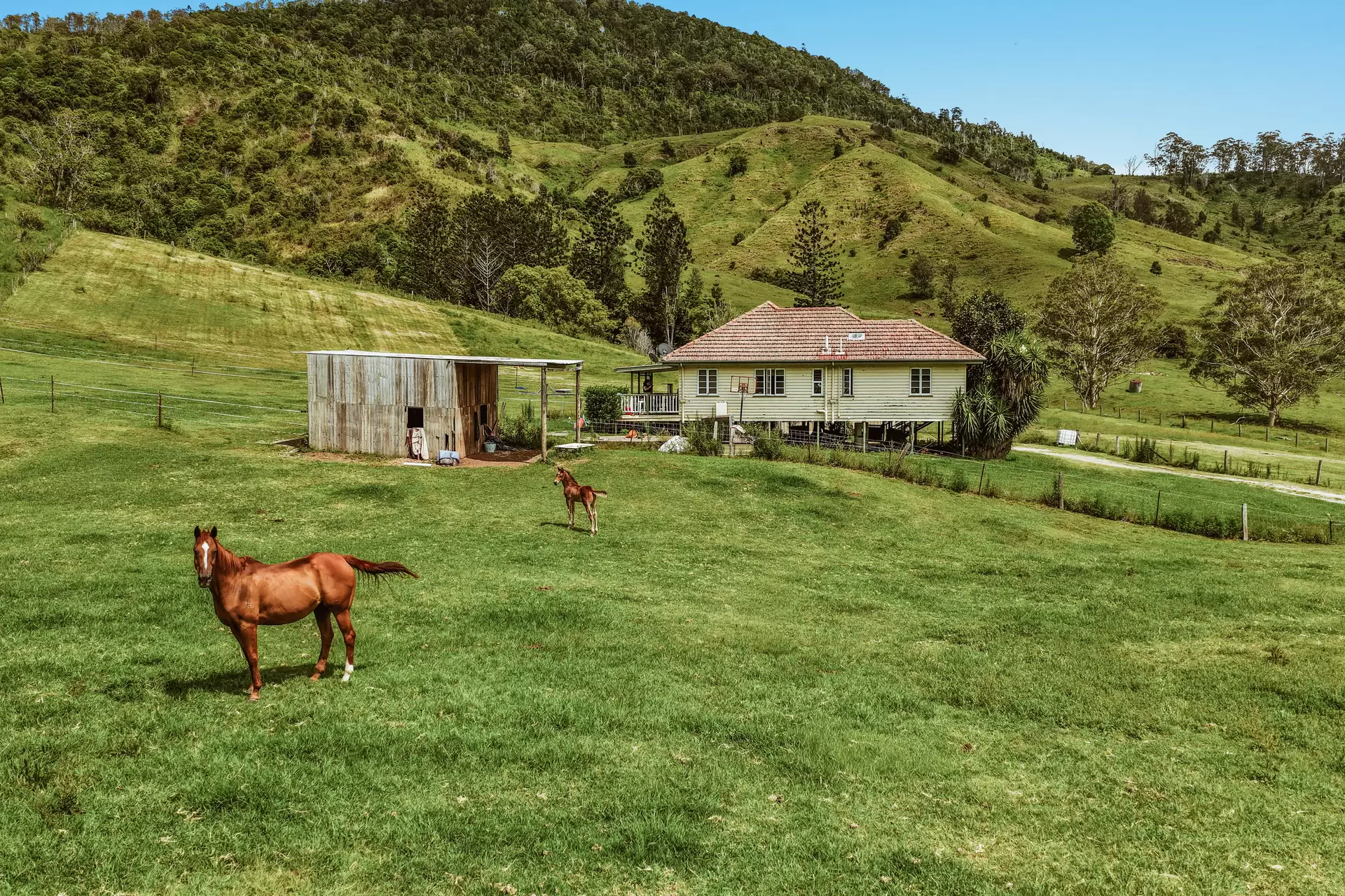 248 Illinbah  Road, Illinbah For Sale by Queensland Sotheby's International Realty - image 1