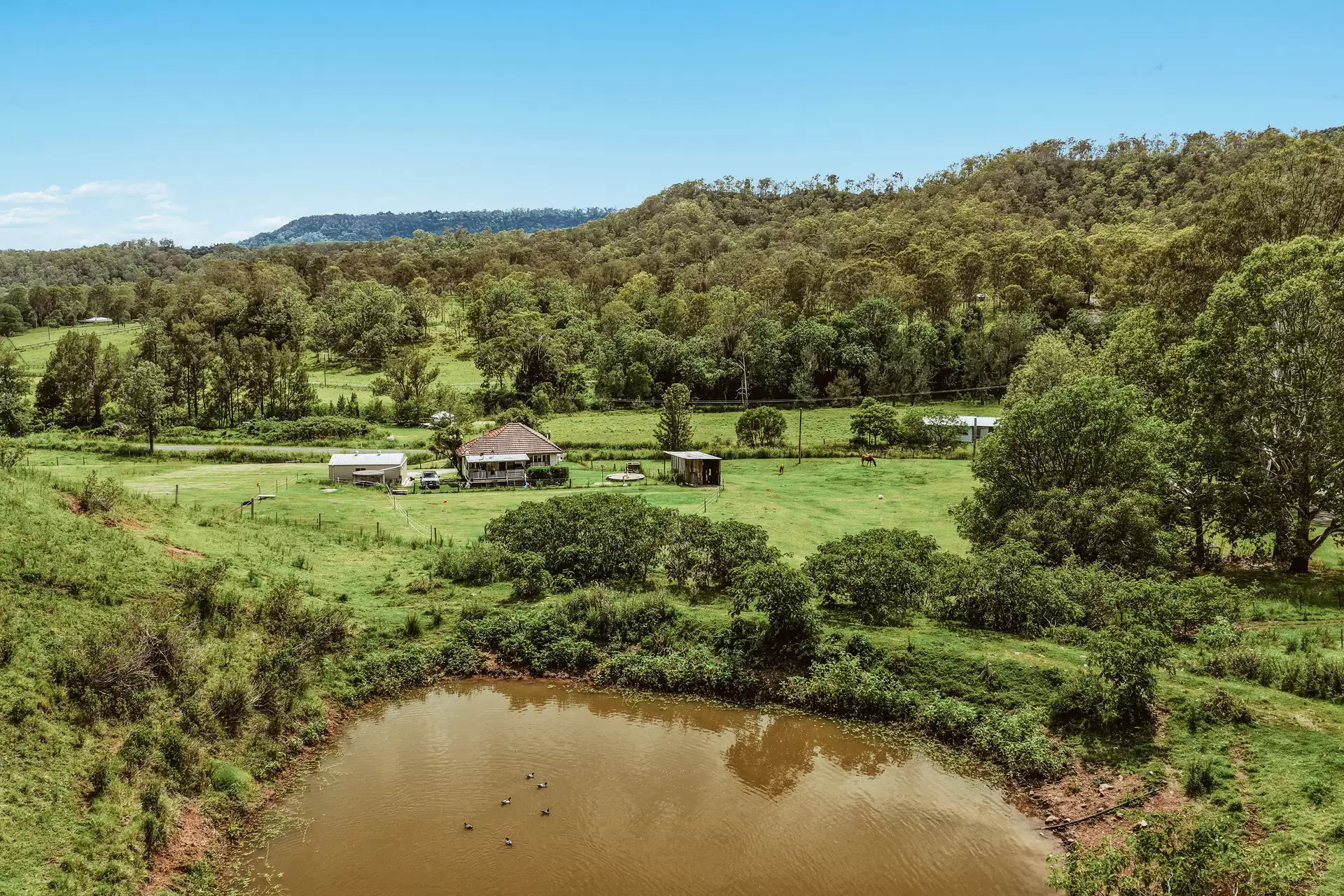 248 Illinbah  Road, Illinbah For Sale by Queensland Sotheby's International Realty - image 1