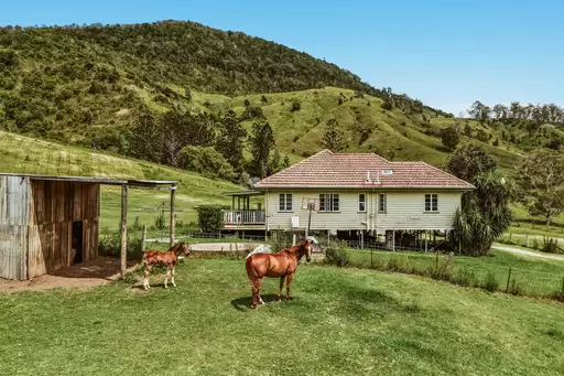 248 Illinbah  Road, Illinbah For Sale by Queensland Sotheby's International Realty