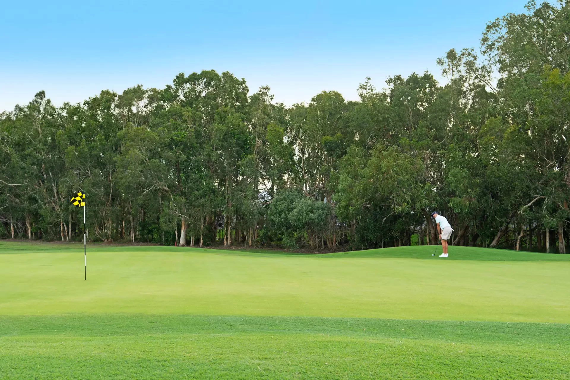 164 Balgownie Drive, Peregian Springs Sold by Queensland Sotheby's International Realty - image 1