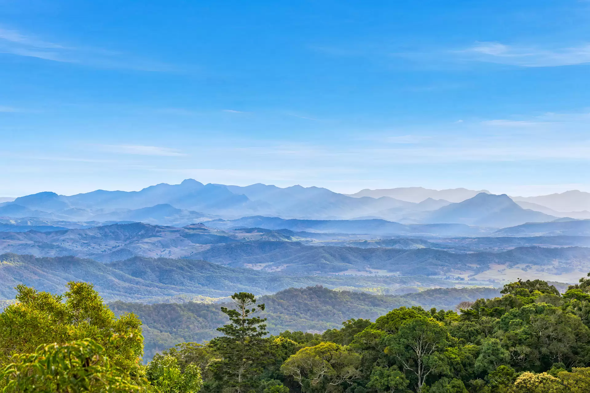 46/3544 Lamington National Park Road, O'Reilly For Sale by Queensland Sotheby's International Realty - image 1