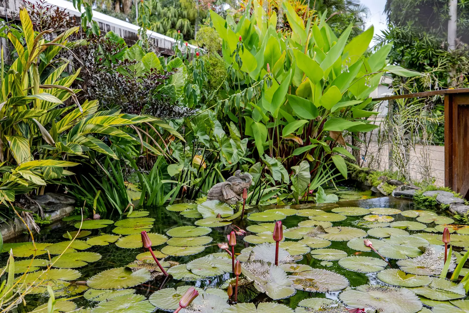 13 Ribbon Avenue, Port Douglas For Sale by Queensland Sotheby's International Realty - image 1