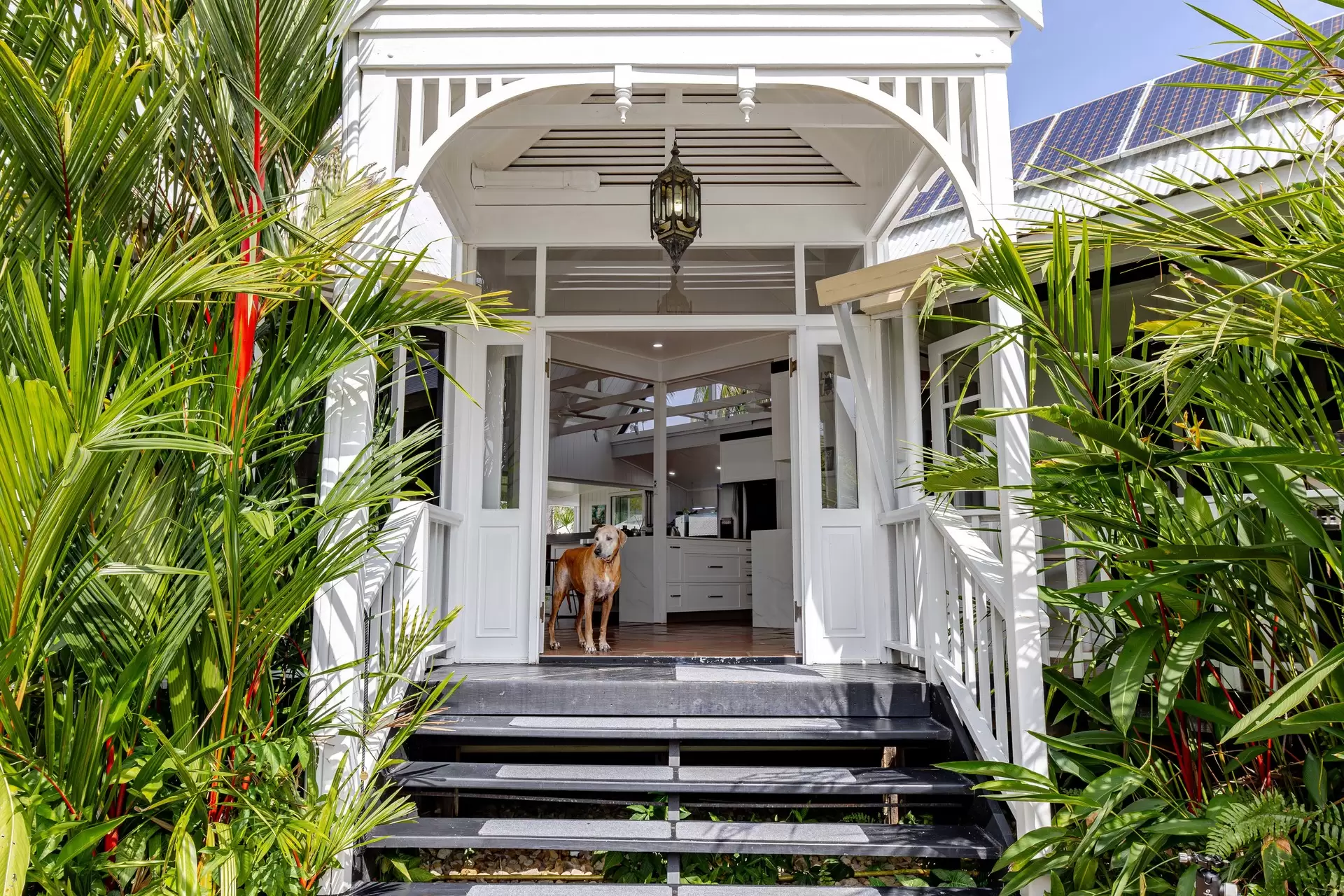 13 Ribbon Avenue, Port Douglas For Sale by Queensland Sotheby's International Realty - image 1