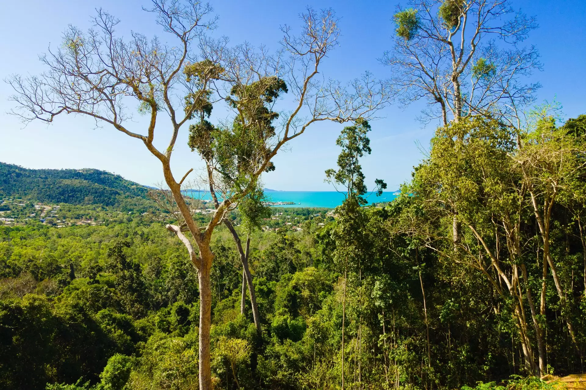 Lot 6, 89 Timberland Road, Jubilee Pocket Sold by Queensland Sotheby's International Realty - image 1