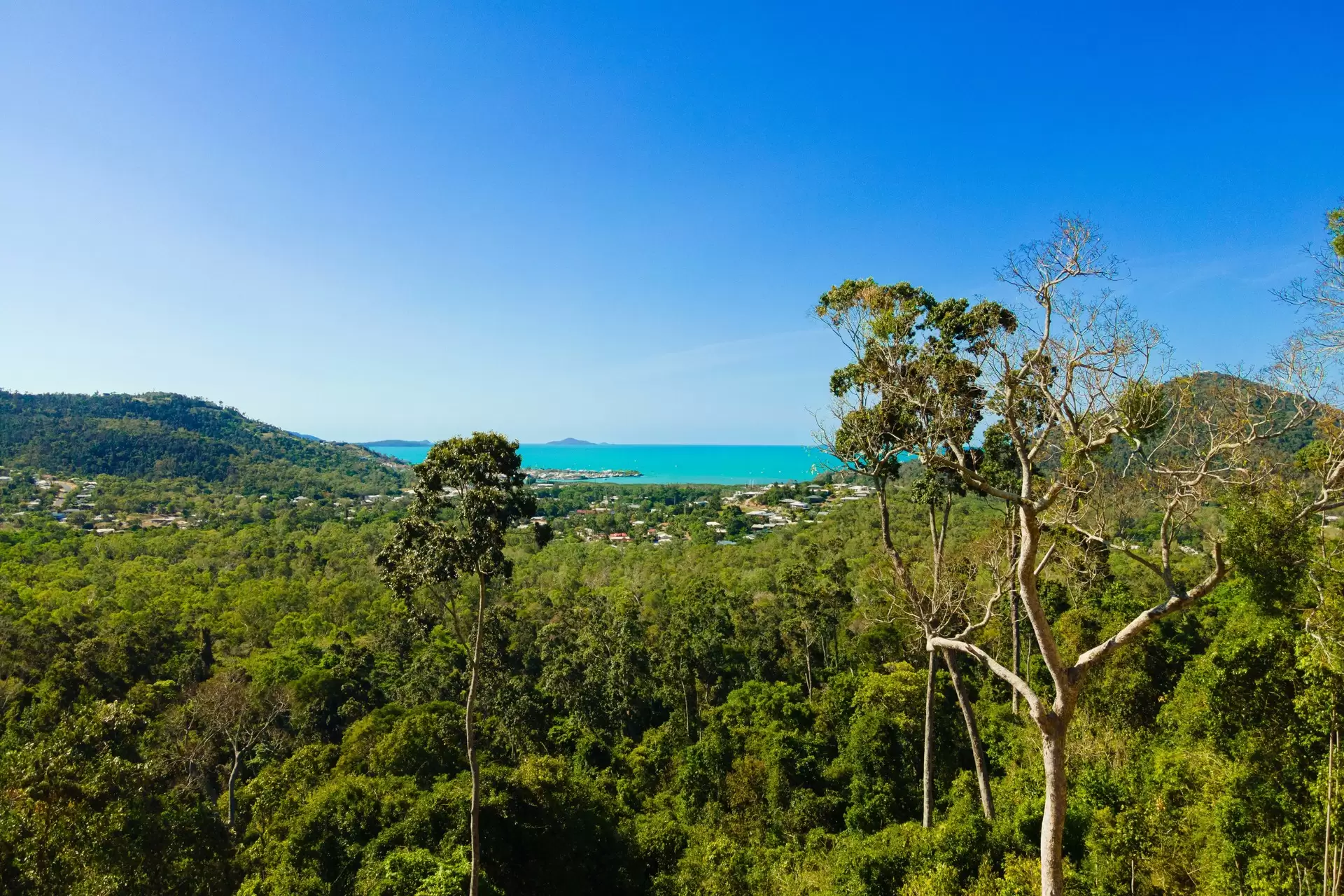 Lot 6, 89 Timberland Road, Jubilee Pocket Sold by Queensland Sotheby's International Realty - image 1