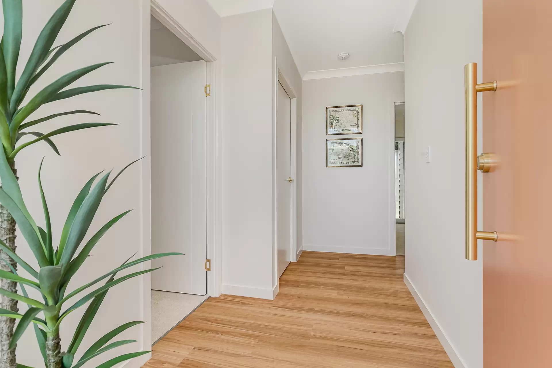 10A Topatig Street, Cleveland Sold by Queensland Sotheby's International Realty - image 1