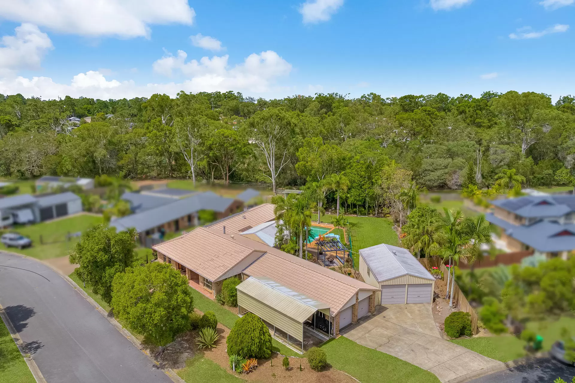 1 Cockateil Court, Thornlands Sold by  - image 1