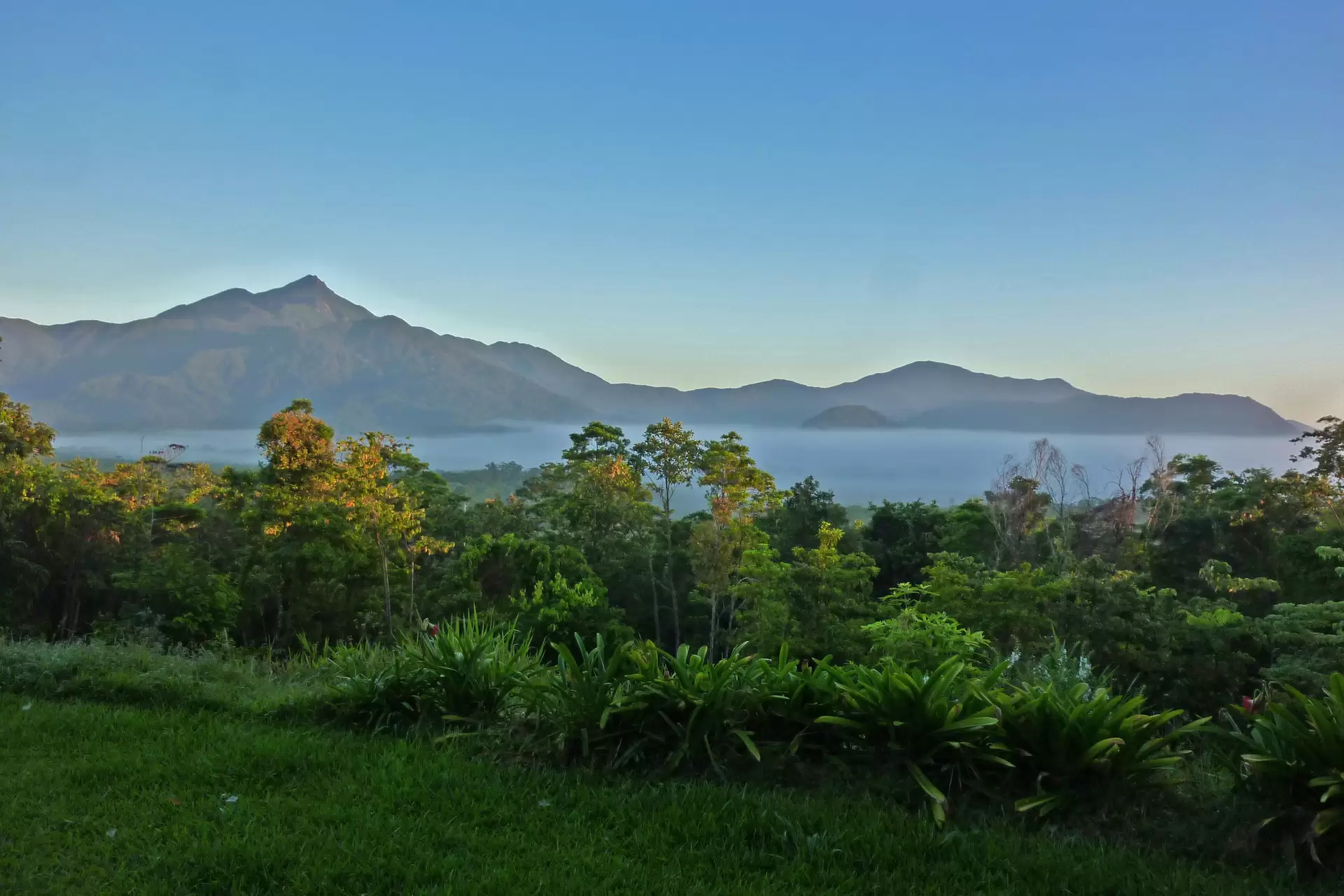 22 Buchanan Creek Road, Cow Bay, Daintree For Sale by Queensland Sotheby's International Realty - image 1