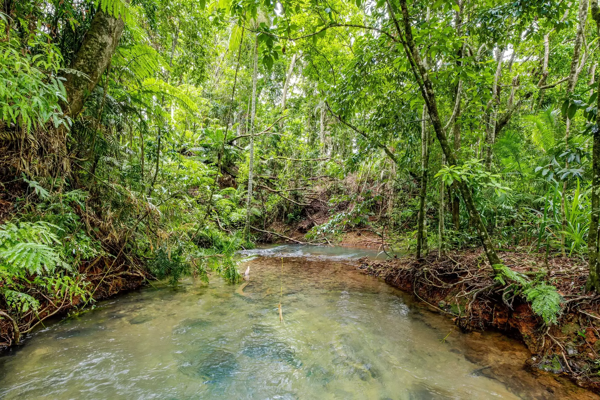22 Buchanan Creek Road, Cow Bay, Daintree For Sale by Queensland Sotheby's International Realty - image 1