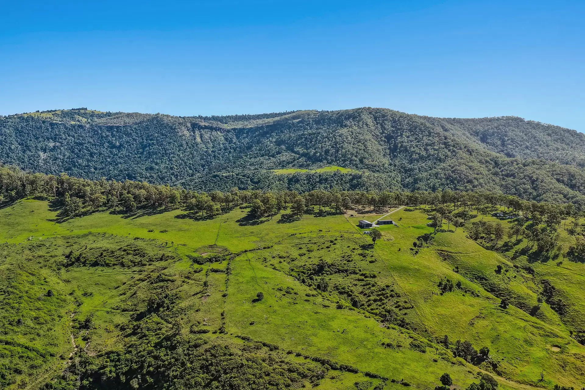 462 Illinbah Road, Illinbah Sold by Queensland Sotheby's International Realty - image 1