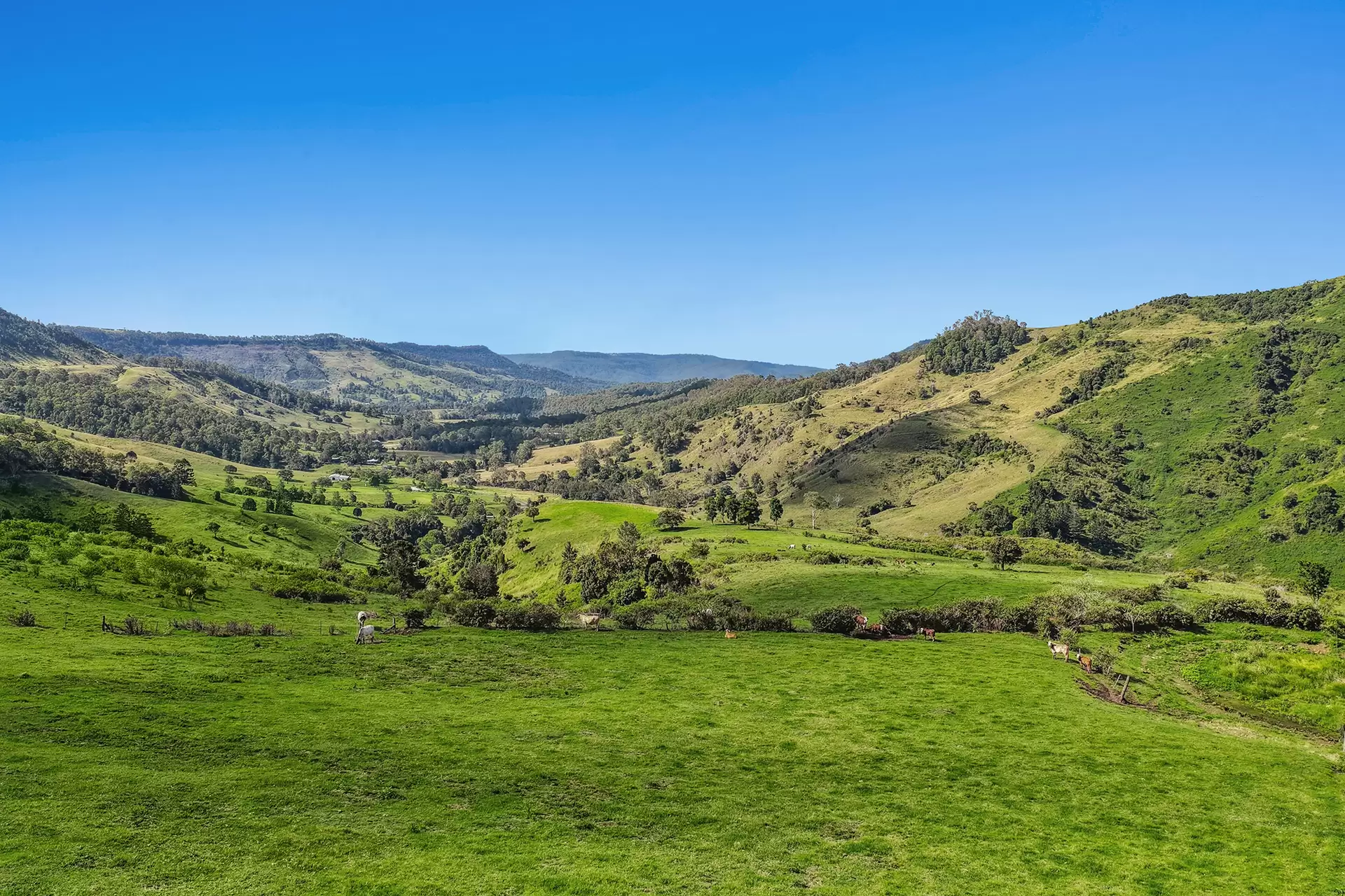 462 Illinbah Road, Illinbah Sold by Queensland Sotheby's International Realty - image 1